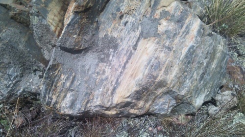 Гигантские зелёные валуны для ландшафтного дизайна весом более 5 тонн купить в Орле